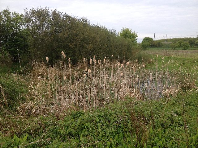 Planning & Ecology Isn’t a Barrier to Renewable Energy. It’s One of Its Greatest Strengths